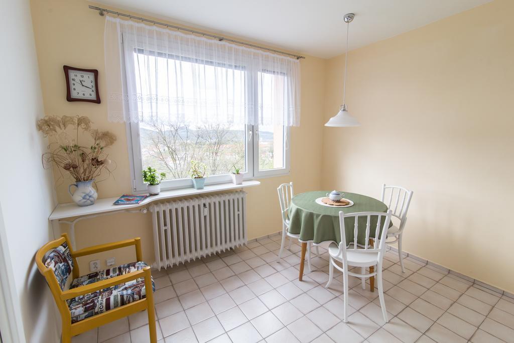 Apartman Labe Ústí nad Labem Exterior foto